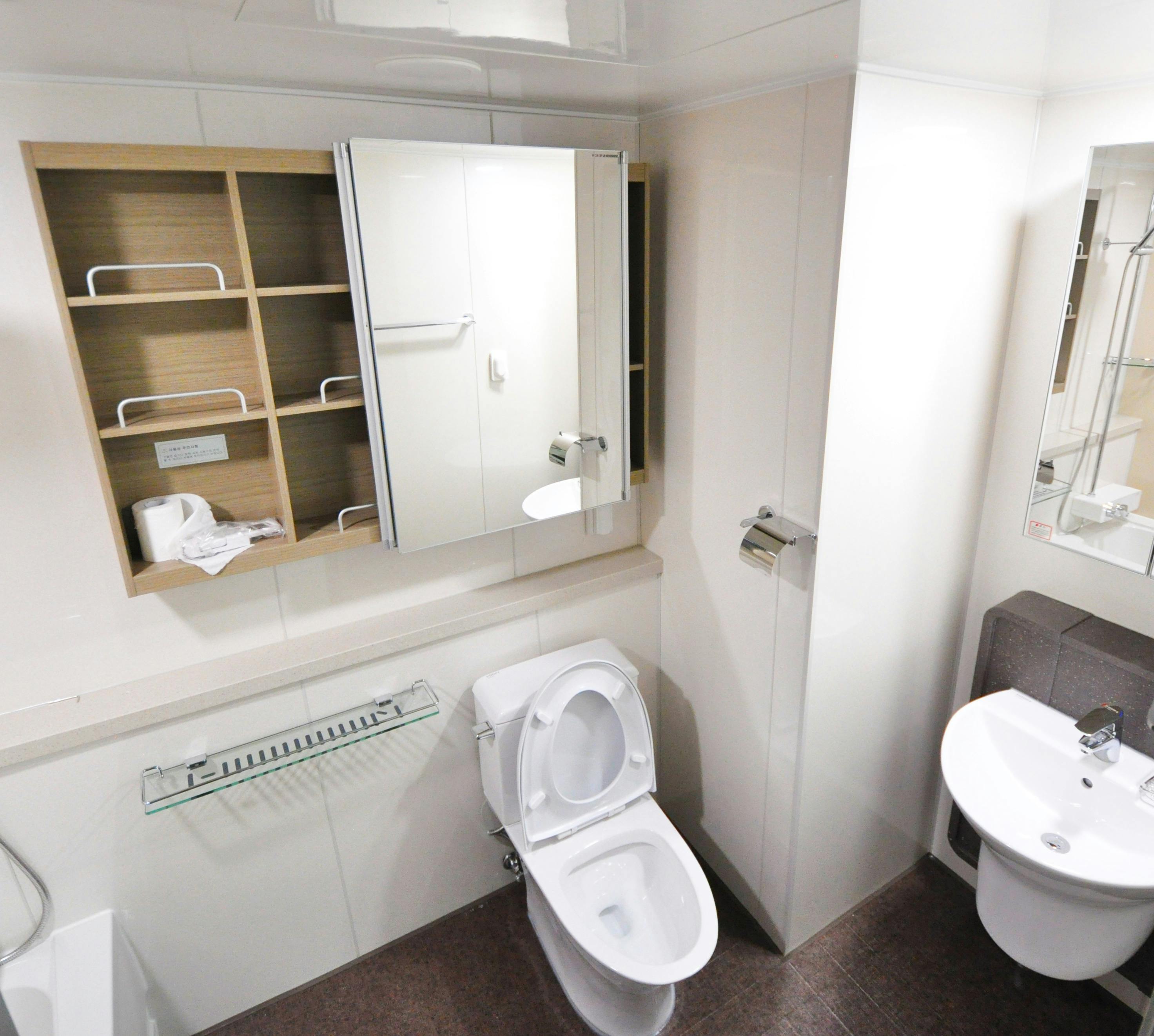 Modern bathroom with toilet, sink, and shelves.